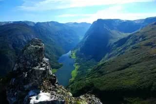 Red Gel edible color